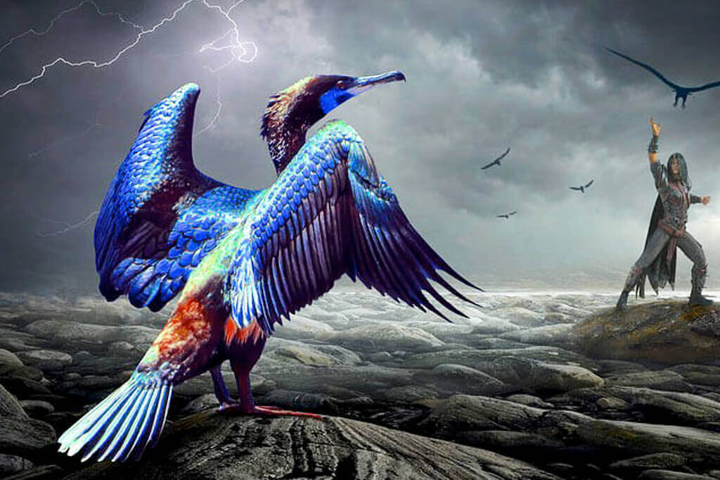 Advance Diploma In Graphics And Animation (ADGA)